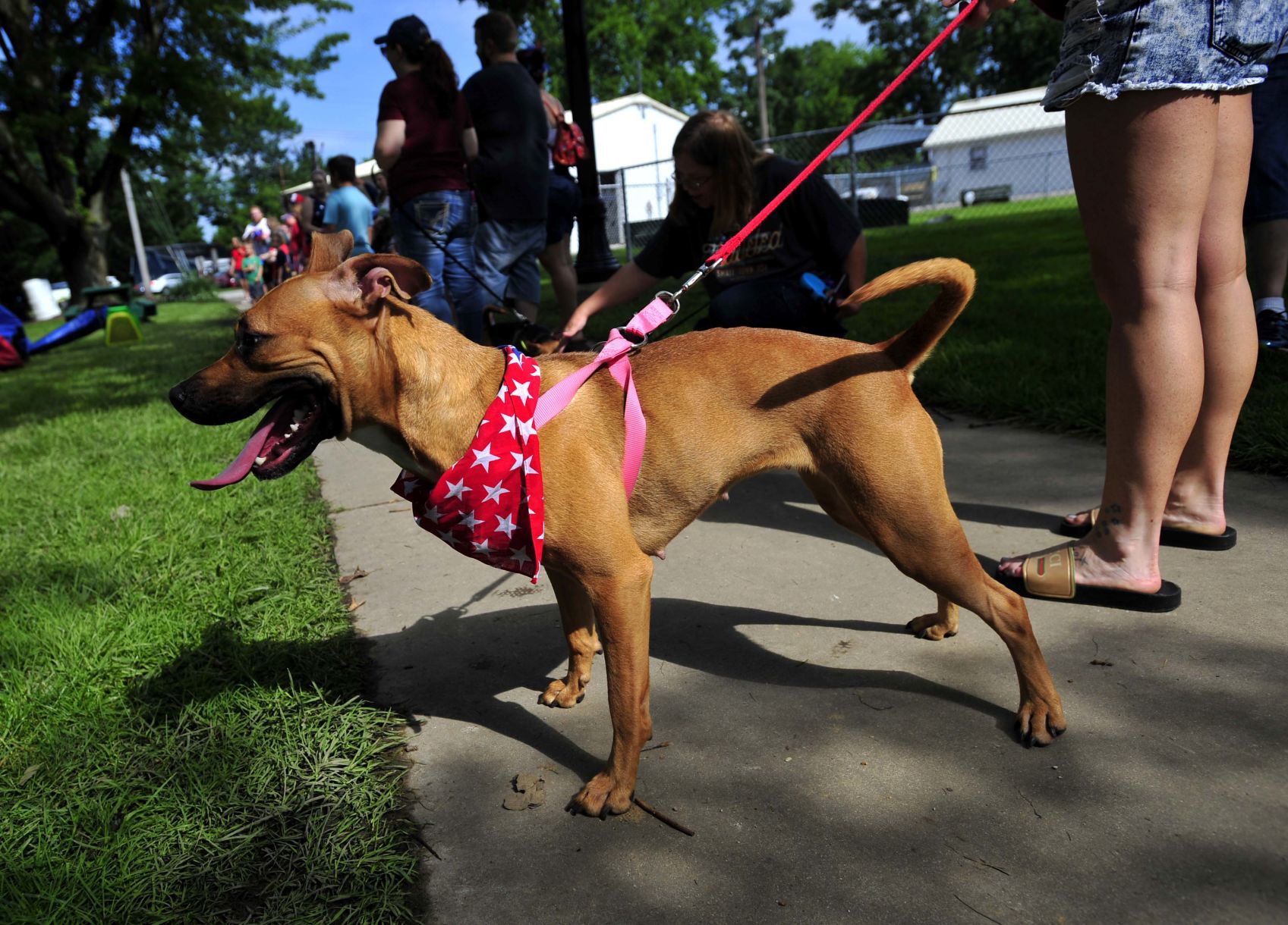 Red, White and Blue Days 2019 13 (07/03/19)